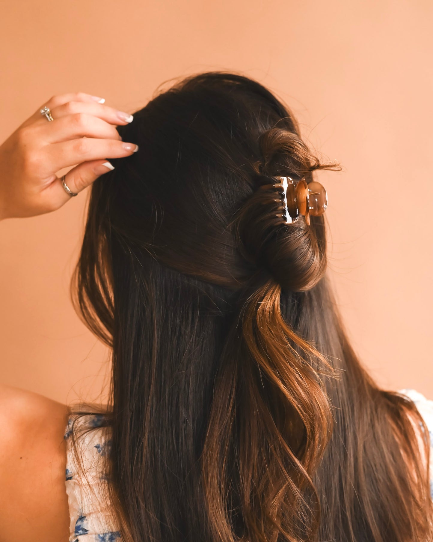 Tortoise Mighty Hold