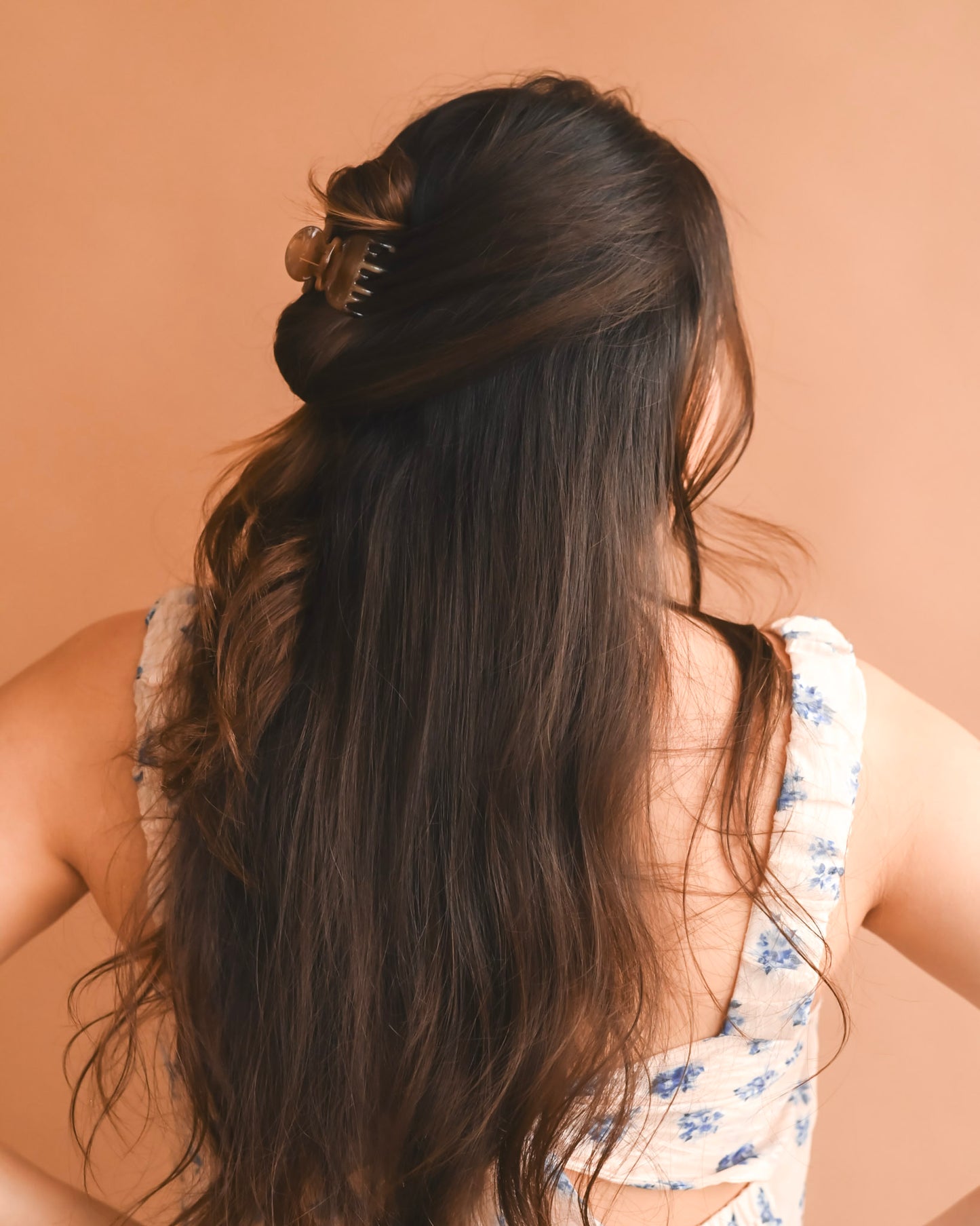 Tortoise Mighty Hold